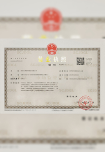 美神宠物三证合一副本